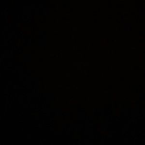 Meet your Posher, Macey